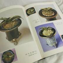 Amazon.co.jp: 絶版 □定本万年青大観 おもと図鑑 奥谷三郎 万年青図鑑