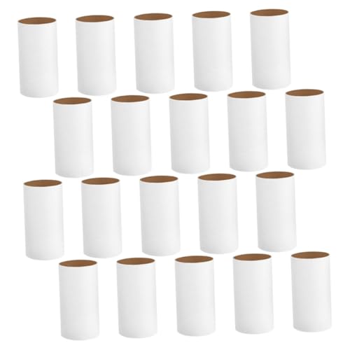 DOITOOL 20pcs Unfinished Paper Cardboard Tubes Craft for Boys and Girls Drawing Paper Tubes for Creative Arts DIY Projects