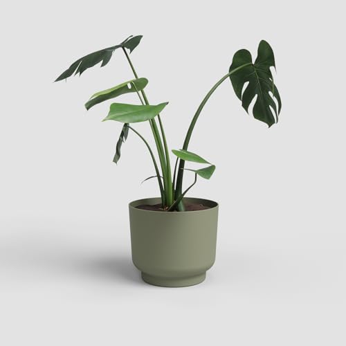 Artevasi Blumentopf Miami 16cm Weissgrün – Moderner Übertopf aus recyceltem Kunststoff mit Matter Oberfläche – dekorativer Pflanztopf