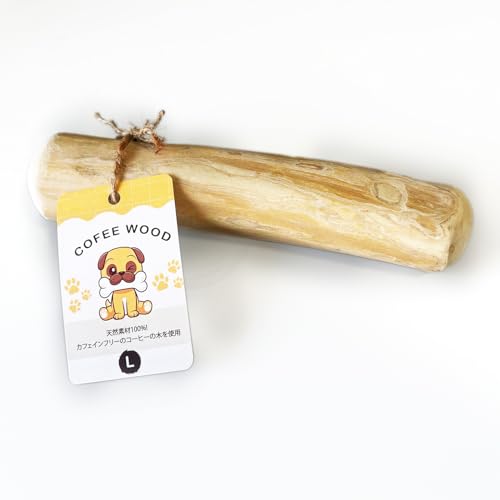 R[q[Ebh    Y 100%i` VR  R[q[̖ JtFCt[ f^PA (k TCY)