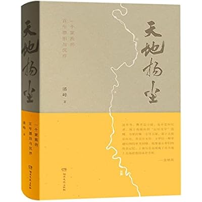 天地扬尘（余秋雨推荐，一个南方家族的百年漂泊与浮沉，湘西小城里的记忆回溯）