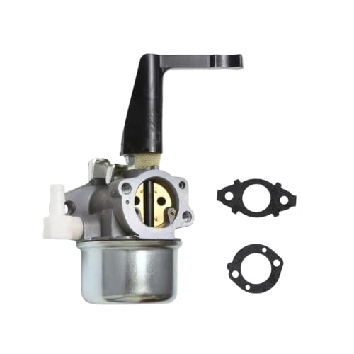 Carburateur de motoculture pour moteur 697422 110412 kit complet avec joints BP17A-2