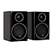 Produktbild Monitor Audio Silver RS 1 Front-Lautsprecher/Stereo