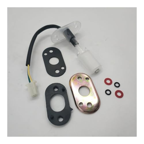 Accesorios combustible Bashan 200cc 250cc 300cc BS200S7-A