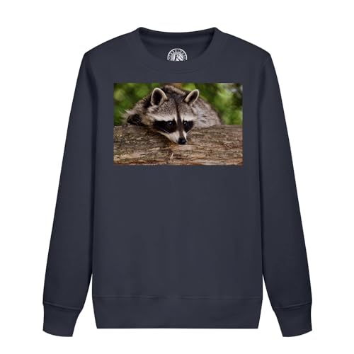 Sweatshirt enfant raton laveur : idée cadeau d'anniversaire mignon