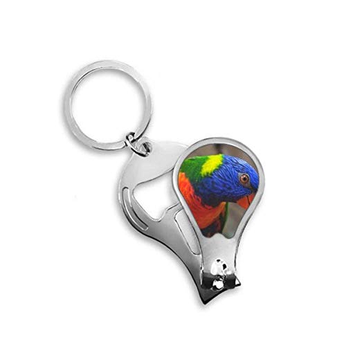 Cutter perroquet DIYthinker pour couper les griffes d'oiseaux facilement