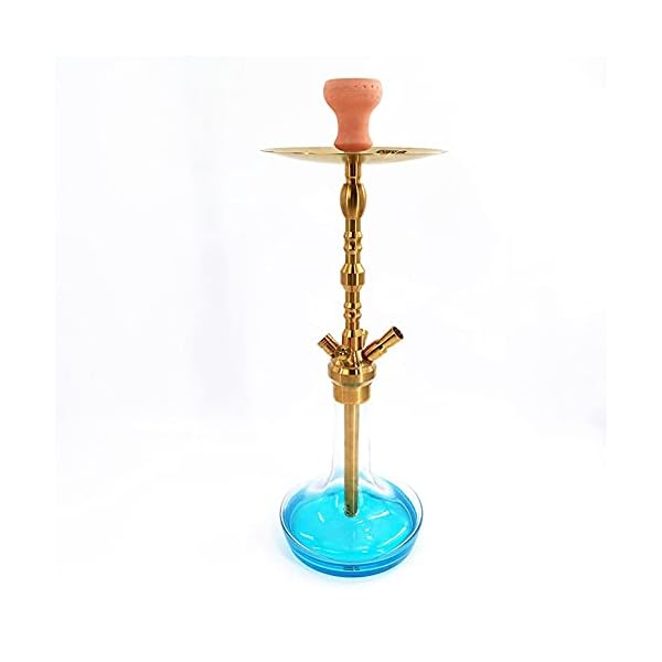 Rteanb Edelstahl Einzelhaare-arabische Hukah-KTV-Bar-Huka, zum besseren Shisha-Hukahn Rauchergenuss, geeignet für… – Bild 4