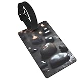 Identification facile : cette étiquette de bagage dispose d'une fenêtre transparente qui affiche vos coordonnées, ce qui facilite la recherche de vos bagages dans le carrousel de bagages, ce qui rend la réclamation des bagages moins stressante.