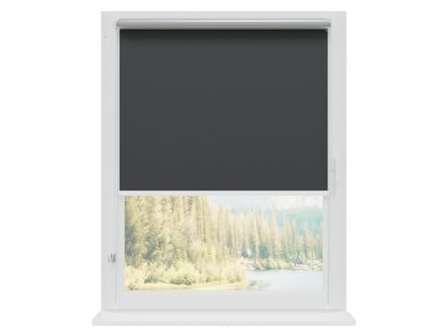 RENA Rollos Für Fenster Ohne Bohren - Thermorollo Verdunklungsrollo - Weiße Kette Verstellbar - Hitzeschutz Sichtschutz - 140 x 150 cm Graphit Silber