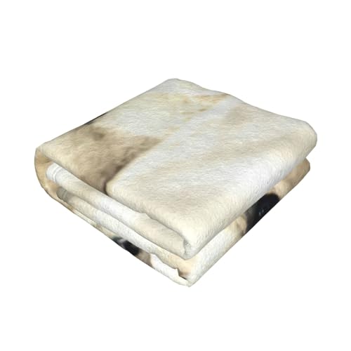 Couverture de lit EdWal caniche pour des soirées cocooning douillettes