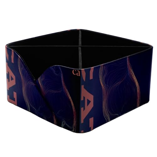 Boîte rectangulaire chat coloré : la solution pour ranger vos produits de beauté - 2