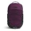 Blackcurrant Purple/TNF Black
