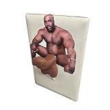 Funny Barry Wood Light Switch Stickers, 3 x 3.4 Inches, 10 Pack, Waterproof Vinyl Decals for Laptop, Window, Wall, Bumper, Adult Novelty