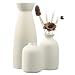 Mapille 3PCS Conjunto de jarrones de cerámica, Minimalista Blanco Jarrón de Cerámica, Jarrones para Flores Frescas y Secas, Hierba de Pampas, Florero Jarrones Decoración Moderna del Hogar