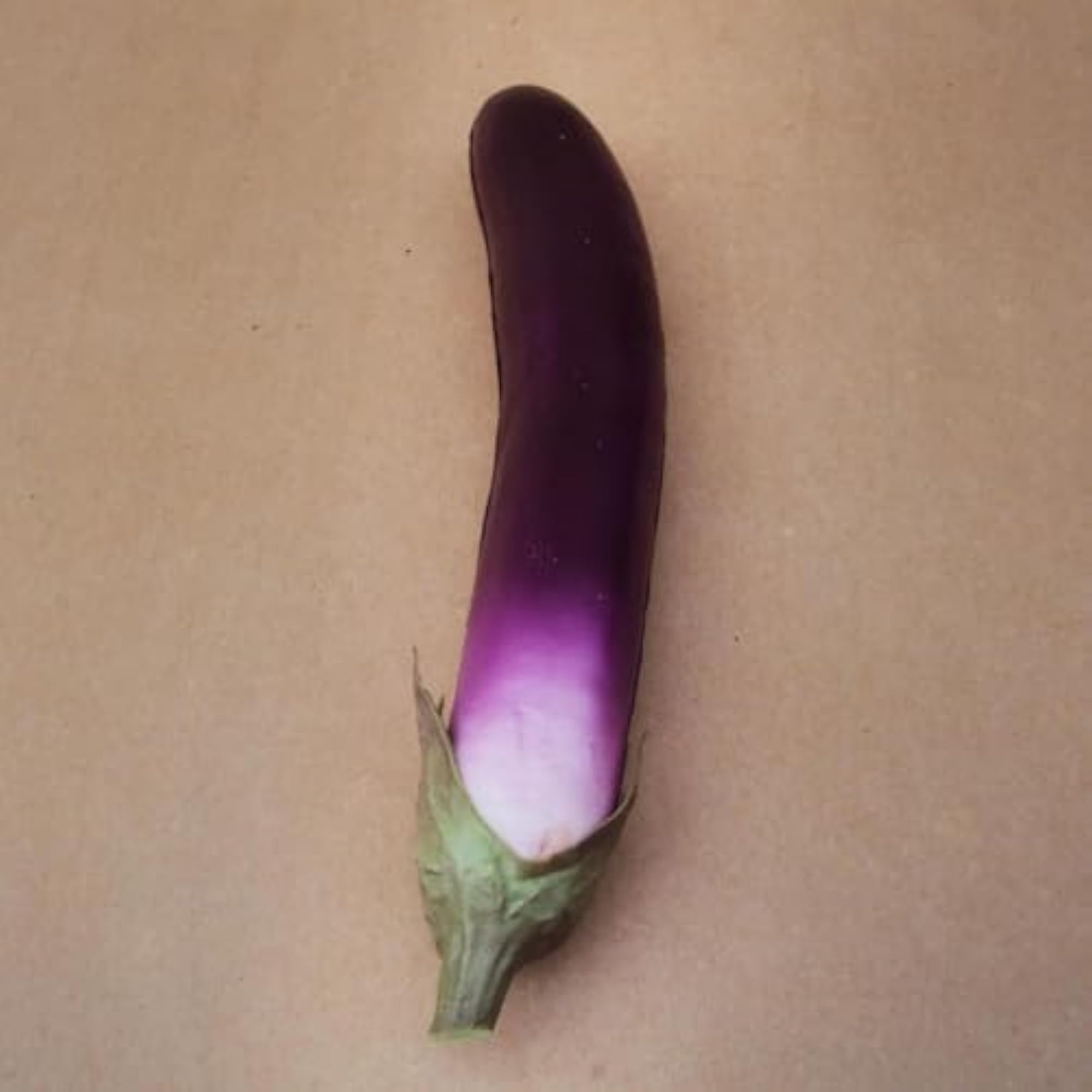 Realistic Fake Eggplant Artificial Decorative Vegetable