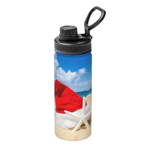 Gourde inox isotherme 532ml haut de gamme motif Père Noël
