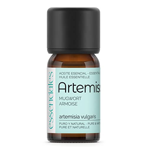 ESSENCIALES Aceite Esencial de Artemisa 10 ml – 100% Puro y Natural – Aroma Herbal Intenso – Ideal para Difusor y Aromaterapia