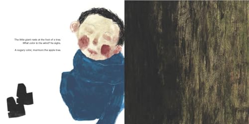 What Color Is the Wind? - Image 6