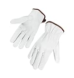 Leather Gold 12 Pair Pack Premium Grain Goatskin Drivers Gloves, Keystone Thumb, Color Coded Cuff (Large)