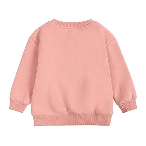 Little Kids Crewneck Pullover Girls Boys Sweatshirt Solid Color Long Sleeve Shirt Comfy Casual Tops Fall Clothes2