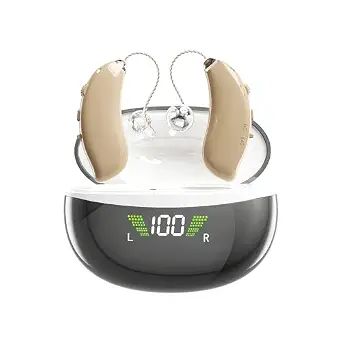 Rechargeable Hearing Aids for Seniors, Noise Cancelling, 16 Channels Digital RIC, Invisible Comfortable Design, Charging Case Displaying Power