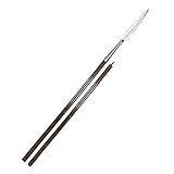 Haller Römischer Langspeer