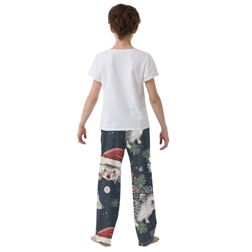 ZZXXB Hedgehog Xmas Berry Boys Long Pants Soft Trousers Elastic Waist Kids Lounge Bottoms with Pockets S-XL3