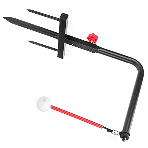 Balançoire portative de baseball portative avec balle attachée, système