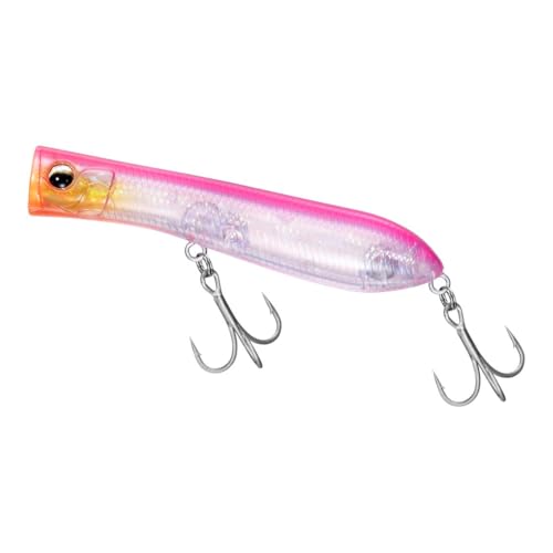 _C(DAIWA) A[ \eB|bv80F Vo[EtJX^ sNobNNA