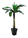 Produktbild Unbekannt Bananenbaum 220cm, Kunstpflanze