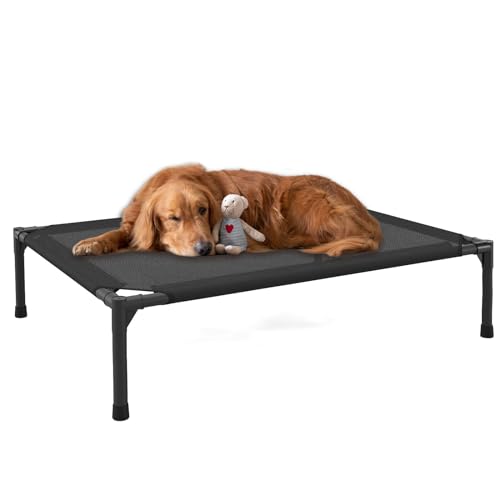 The 10 Best Elevated Dog Bed Reviews & Comparison The WaterHub