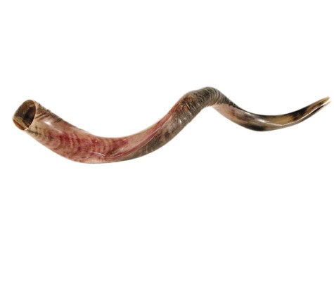 Jerusalem Shofar Koscher gedrehtes Horn poliert natürlich jüdisches Mundstück Yom Kippur handgefertigt