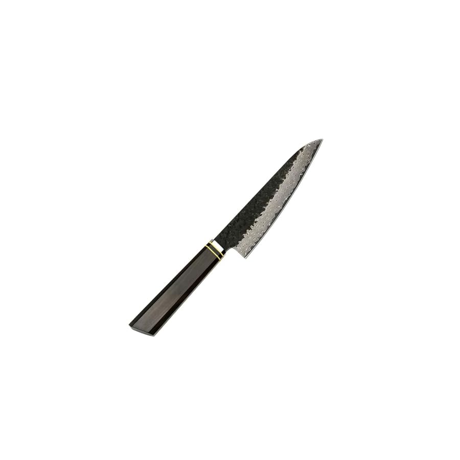 Kitchen Knife Set 5 PCS Kitchen Utensils Japanese Sharp Damascus VG10 Steel Hammer the Blade Surface Knife Chef Knife Exquisite Handle Tools/Home/Gift, Dishwasher Safe Daily Household Use