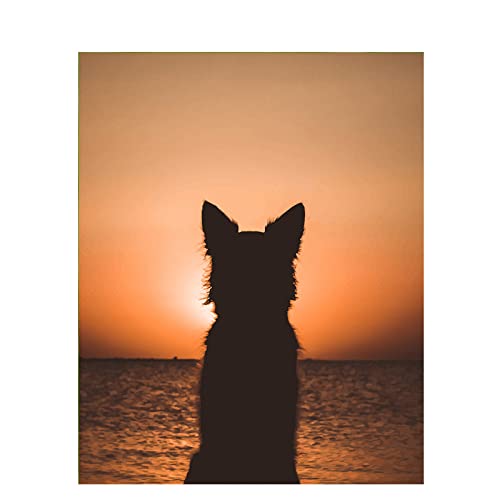 Peinture au diamant 5D anti-stress kit complet mosaïque chien pour décoration intérieure