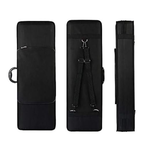 Can you take a violin as hand luggage FINO Professional Oblong Violin Case