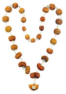 Blustone Pure Brown Beads from Nepal Indrani Mala 1 to 21 Mukhi Rudraksha with Gauri Shankar & Ganesh Lab Certified