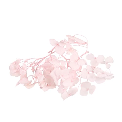 Pétalos secos naturales de hortensia para decoración