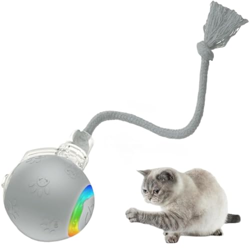 インタラクティブ キャットトイ 自動 ロングテール リアルな鳥の鳴き声 USB充電式 猫用おもちゃ 自動停止 タッチスタート 屋内 大人猫 活発な子猫 プレゼント ブルー レッド グレー 2段階速度 ねじ固定テール 狩猟遊び 運動不足解消 (グレー)