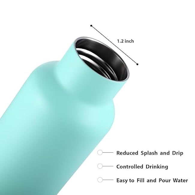 monomono 24oz Double Insulated Water Bottle With Handle Lid, Stainless Steel Gym & Sports Water Bottle for Men, Women & Kids, Hot and Cold, Leakproof, Toxic Free & BPA Free Water Bottle, Pastel Green
