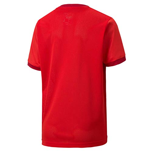 PUMA Teamgoal 23 Jersey Jr Camiseta, Niños, Puma Red-Chili Pepper, 152