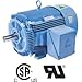 Hyundai PEM HHI100-18-405T-F2, Rigid, TEFC, F2 Mt, 3 PH, 405T, 100 HP, 1800 RPM, 114.1 FLA