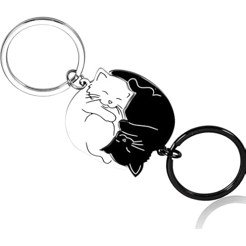 JANEMO Couple Gift Keychain Cute Valentine's Day Gift for Girlfriend Boyfriend Him Her Cat Lover Best Friend Husband Wife Fiancée Cat Matching Gift Couple Stuff for Christmas Birthday Heart Keychain Cover