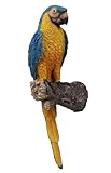 AshyAtom Tropical Parrot Statues Hanging Decor,13.6''(H) Wall Decor Parrot Sculpture for Home Porch Patio Door,Resin Macaw Statue Outdoor Garden Yard Tree Art Ornaments(Blue-and-Yellow)