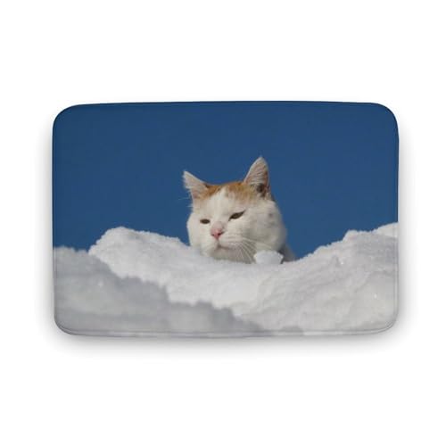 L   oX}bg \tg􂦂 z  փ}bg  O   傫 ~ Aj LN^[ @}bg   ʏ