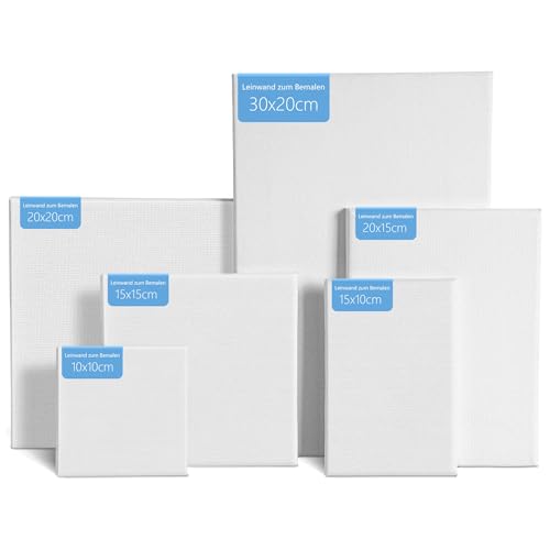 Lienzos Para Pintar Juego de 6 Piezas, Lona Hecha de Fibras de Lino., Lienzos en Blanco en Diferentes Tamaños, Adecuados para Principiantes, Estudiantes, Artistas, para Pintar, Dibujar