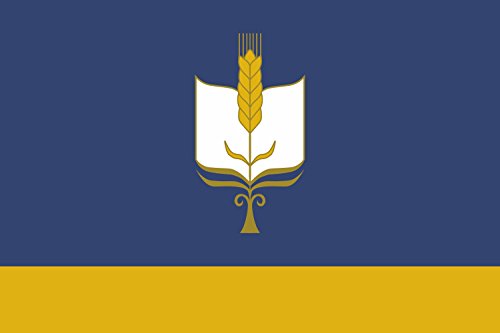 Drapeau Sterlibashevsky rayon anti-effilochage grand format résistant - 2