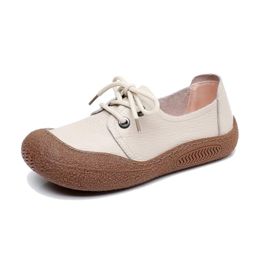 [Szz] VjAV[Y fB[X ҂ݏグ NV[Y ɂ ~ wlC JV p ʋC  ̓ hV̓ ʔN  24.5 cm