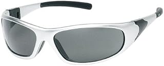 Liberty Glove & Safety SL1726G/AF ProVizGard Cyclone Protective Eyewear, Gray Anti-Fog Lens, Silver Frame (Case of 6 Pairs)