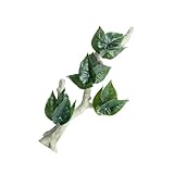 Dcaknri Reptiles Rama De Esquina Rama Trepadora Enredadera para Terrarios Planta Realista Ventosa Decorativa Tortugas Lagartos Reptiles Terrarios