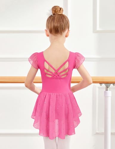 Image of Arshiner Girls Shiny Ruffle Sleeve Ballet Leotard with Skirt Criss-Cross Back Dance Dresses